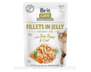 Brit Care Cat Pouches Fillets in Jelly with Fine Trout & Cod 85g